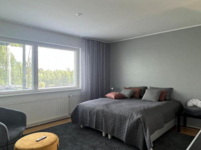 Studiohuoneisto Liisankatu Lappeenranta